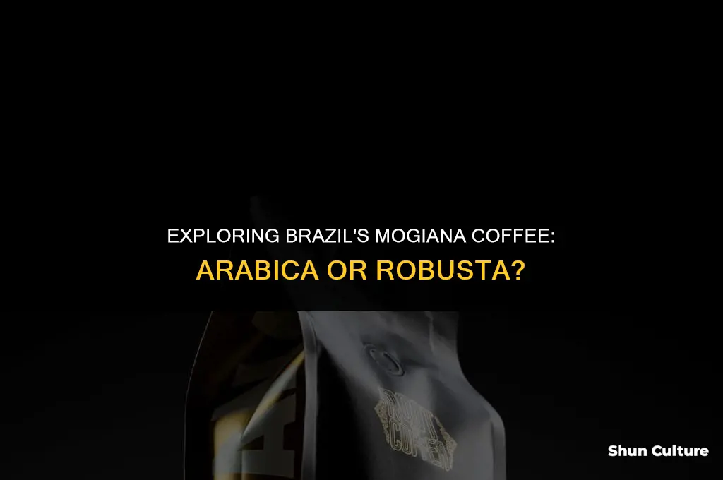 is brazil mogiana coffee arabica or robusta