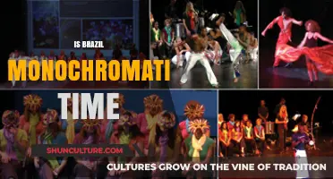 Is Brazil's Time Monochromatic? Exploring Cultural Diversity and Unity