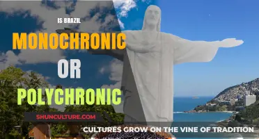 Exploring Brazil's Time Culture: Monochronic or Polychronic?