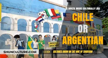 Exploring Cultural Ties: Brazil's Affinity with Chile or Argentina?