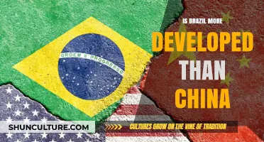 Comparing Giants: Brazil's Development Journey vs. China's Rapid Rise