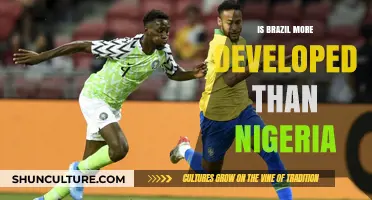 Comparing Development: Brazil and Nigeria in the Global Context