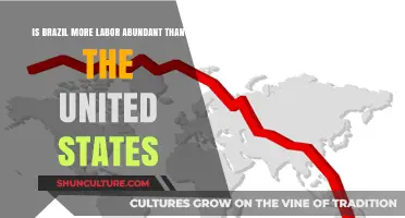 Comparing Labor Abundance: Brazil vs. the United States