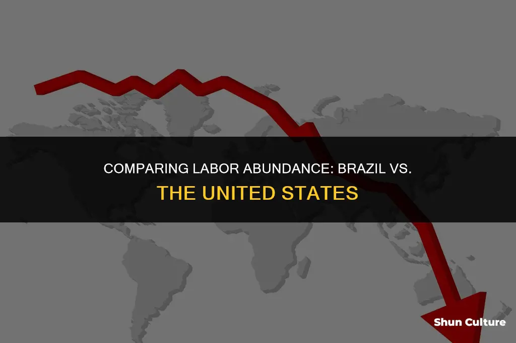 is brazil more labor abundant than the united states