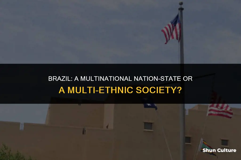 is brazil multinational nation-state or multi-ethnic