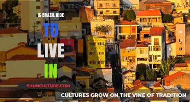 Exploring the Pros and Cons: Is Brazil a Great Place to Live?