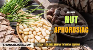 Brazil Nuts and Libido: Uncovering the Aphrodisiac Myth or Truth