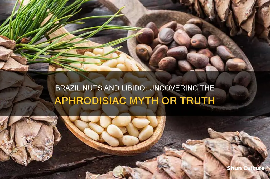 is brazil nut aphordsiac