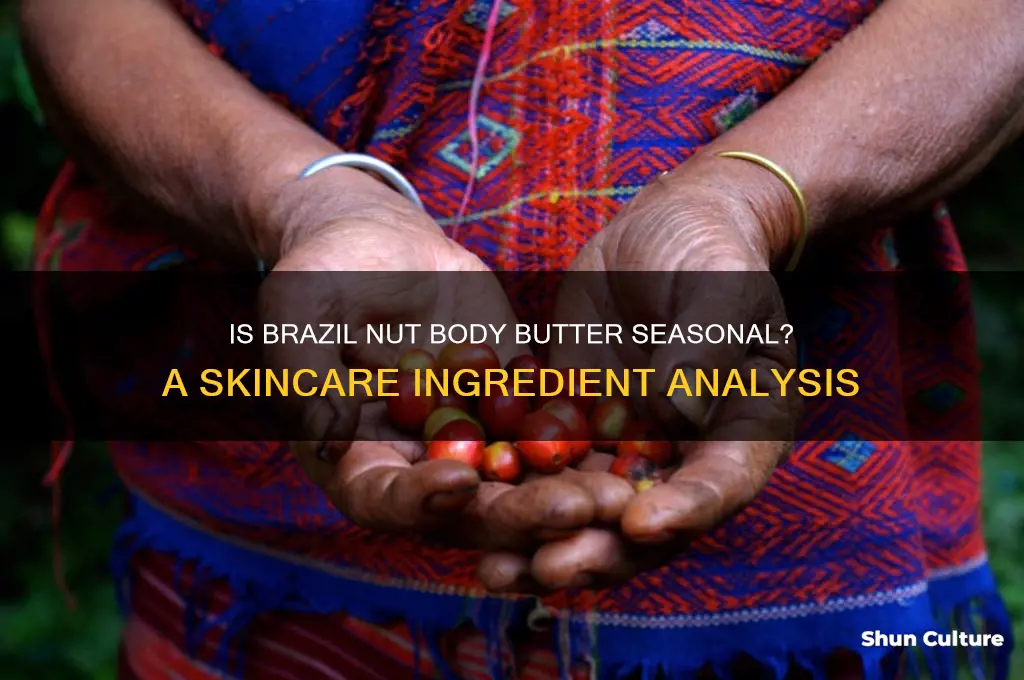 is brazil nut body butter seasonal