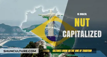 Is Brazil Nut Capitalized? Unraveling the Grammar Mystery
