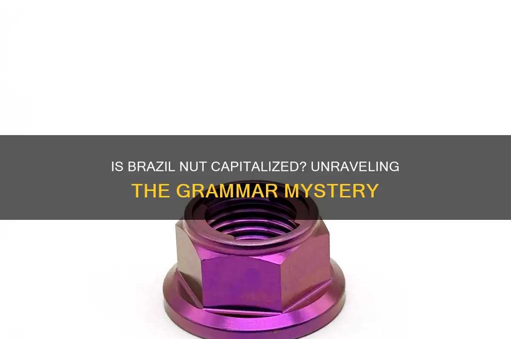 is brazil nut capitalized