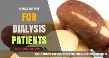 Brazil Nuts and Dialysis: Benefits, Risks, and Safe Consumption Tips