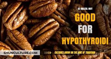 Brazil Nuts and Hypothyroidism: Benefits, Risks, and Selenium Connection