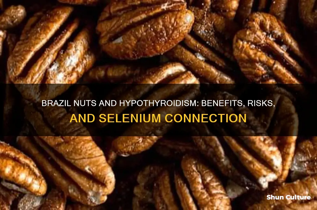 is brazil nut good for hypothyroidism