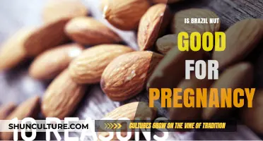 Brazil Nuts During Pregnancy: Benefits, Risks, and Safe Consumption Tips