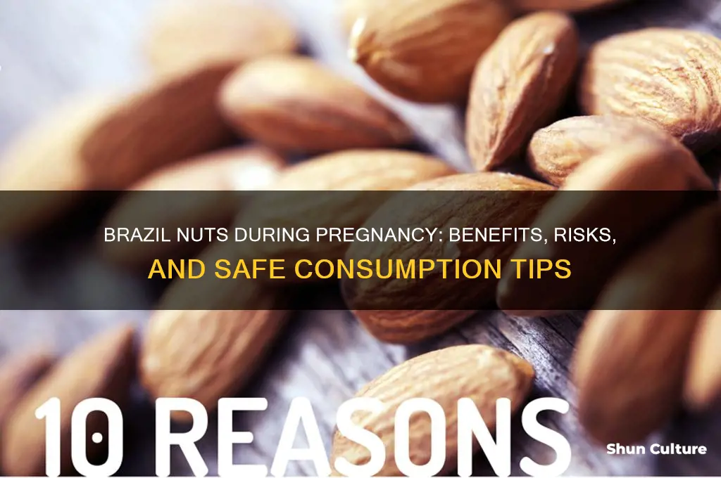 is brazil nut good for pregnancy
