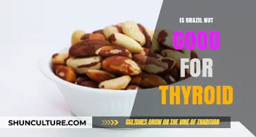 Brazil Nuts and Thyroid Health: Benefits, Risks, and Selenium Connection