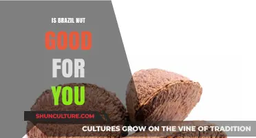 Brazil Nuts: Health Benefits, Risks, and Nutritional Value Explained