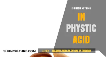 Brazil Nuts and Phytic Acid: Uncovering the Nutritional Truth