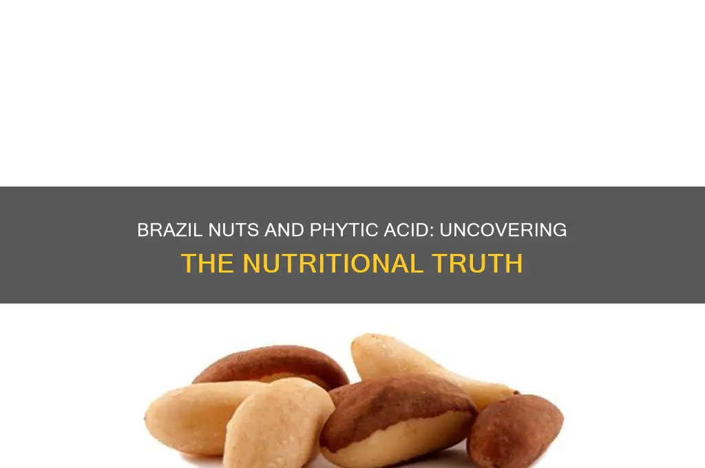 is brazil nut high in phystic acid
