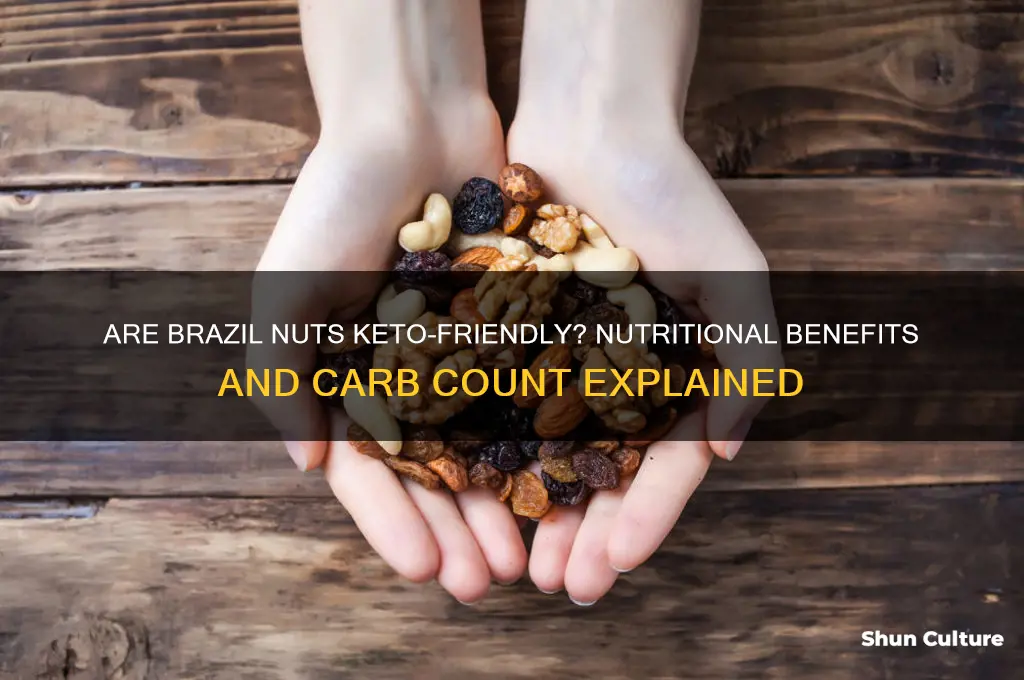 is brazil nut keto friendly