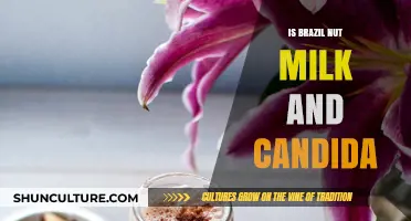 Brazil Nut Milk and Candida: Benefits, Risks, and Dietary Tips