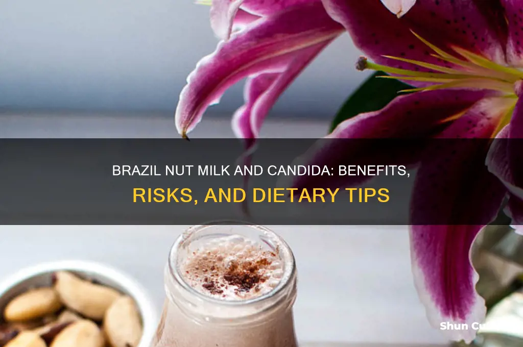 is brazil nut milk and candida