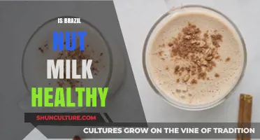 Is Brazil Nut Milk a Healthy Dairy Alternative for You?