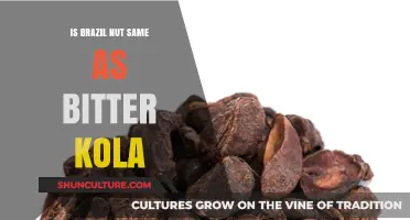Brazil Nut vs. Bitter Kola: Unraveling the Differences and Similarities