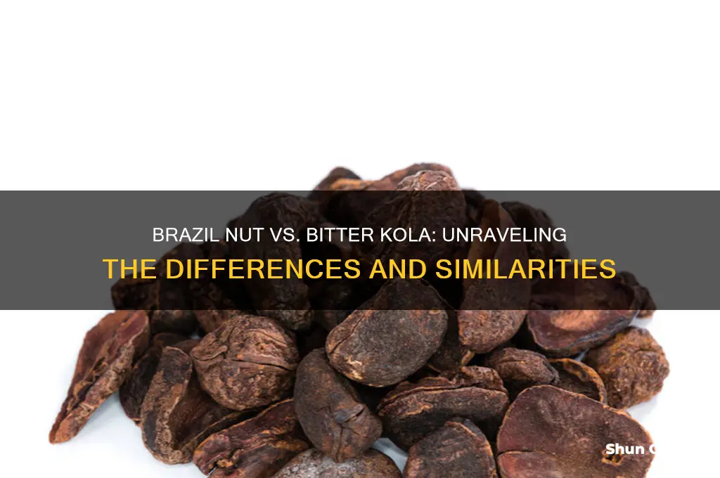 is brazil nut same as bitter kola