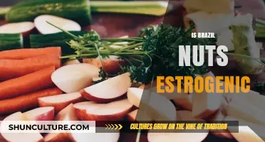 Brazil Nuts and Estrogen: Unraveling the Hormonal Connection