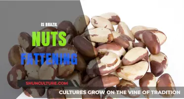 Are Brazil Nuts Fattening? Uncovering the Truth About Their Caloric Impact