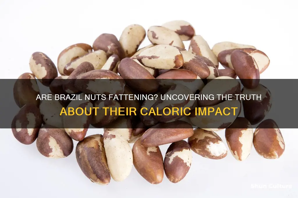 is brazil nuts fattening