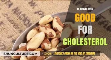 Brazil Nuts and Cholesterol: Unlocking Heart-Healthy Benefits