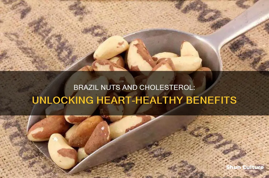 is brazil nuts good for cholesterol