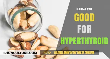 Brazil Nuts and Hyperthyroidism: Benefits, Risks, and What to Know