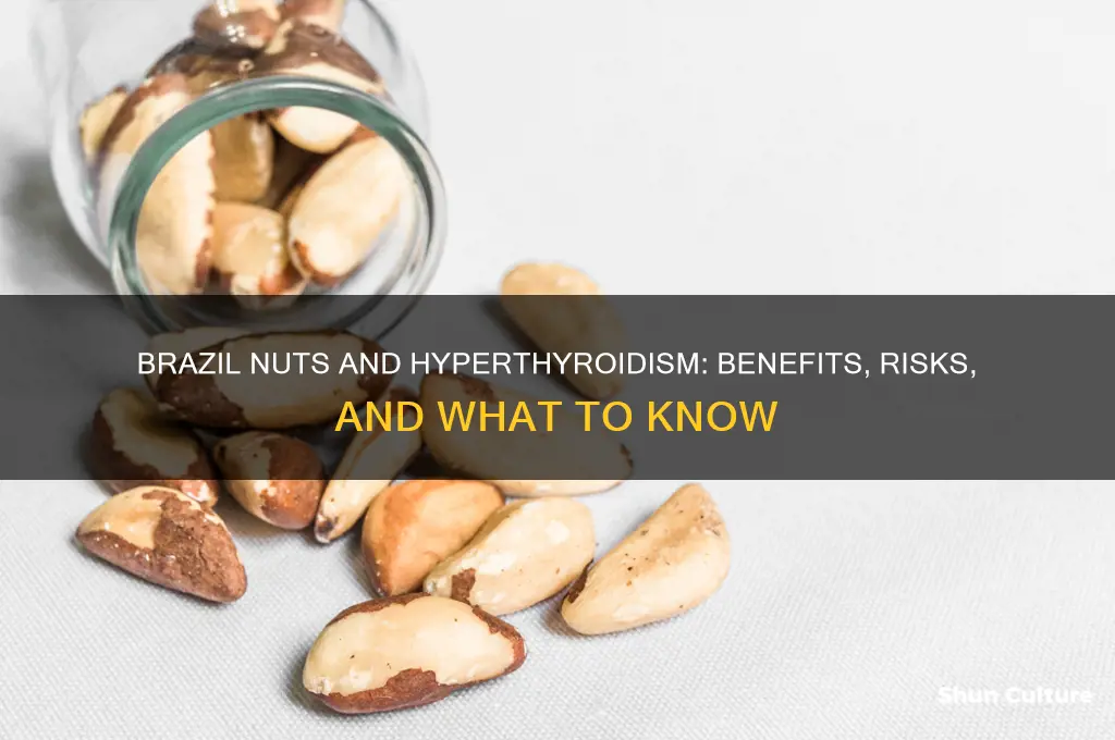 is brazil nuts good for hyperthyroidism