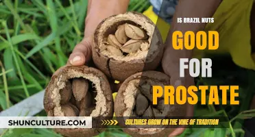 Brazil Nuts and Prostate Health: Benefits, Risks, and Facts