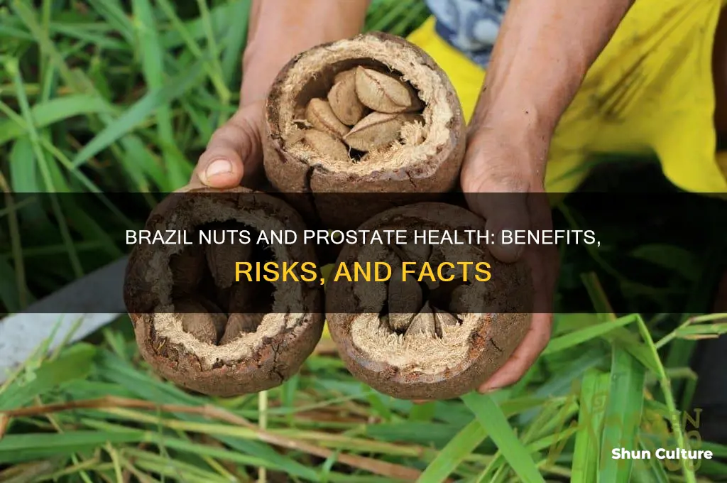 is brazil nuts good for prostate