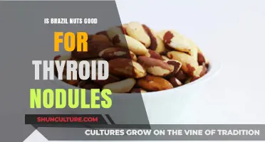 Brazil Nuts and Thyroid Nodules: Benefits, Risks, and Selenium Connection