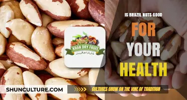 Brazil Nuts: Unlocking Health Benefits and Nutritional Power for Wellness