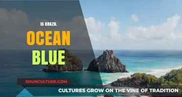 Exploring the Myth: Is Brazil's Ocean Truly Blue?