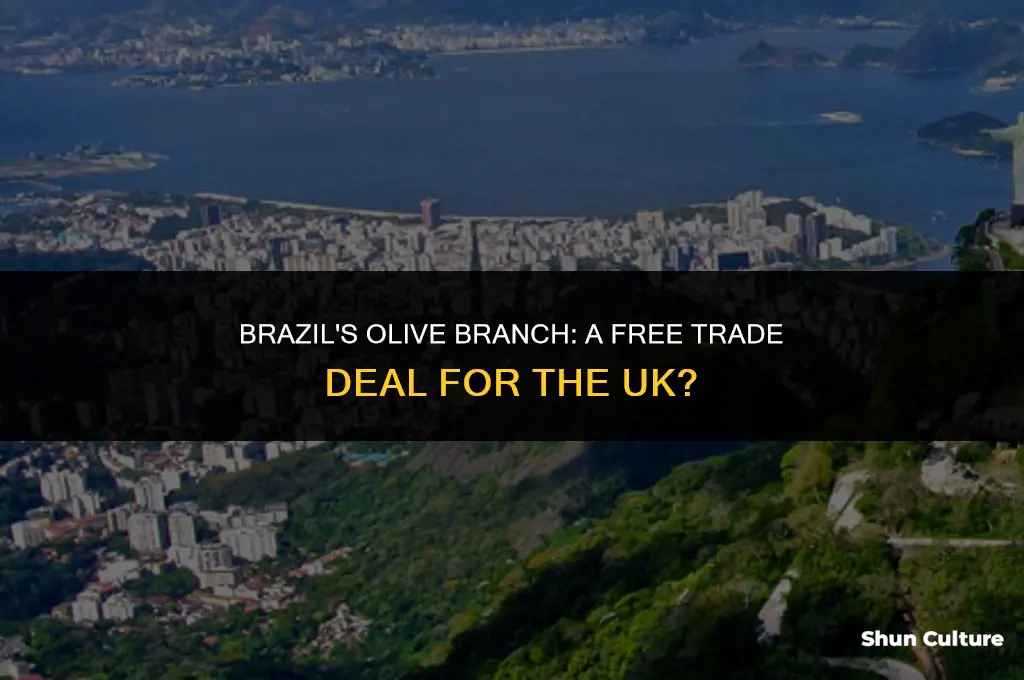 is brazil offering the uk a free trade deal