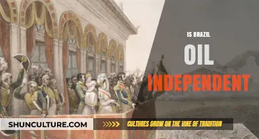 Brazil's Oil Independence: A Reality Check Amidst Global Energy Shifts