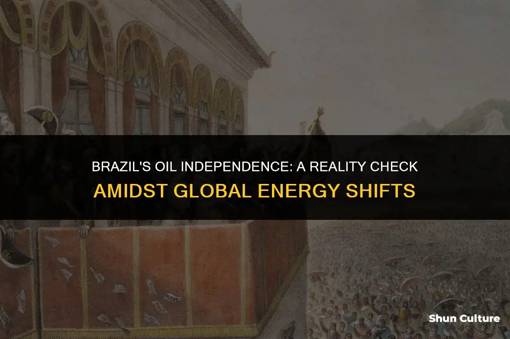 is brazil oil independent