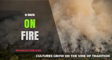 Brazil Ablaze: Unraveling the Devastating Wildfires and Their Impact