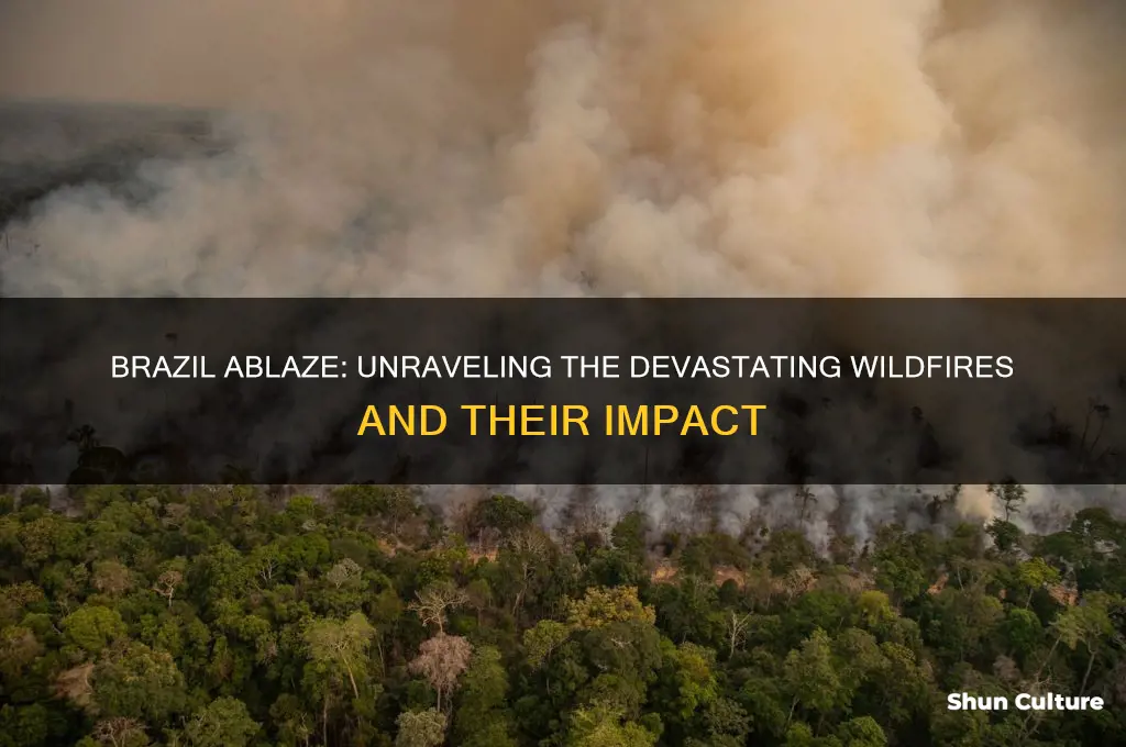is brazil on fire
