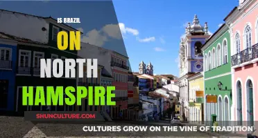 Exploring Brazil's Unique Presence in North Hampshire