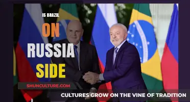 Brazil's Stance: Aligning with Russia Amid Global Tensions
