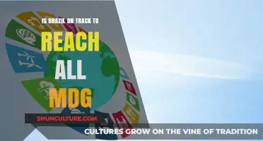 Brazil's Progress Towards Achieving the Millennium Development Goals